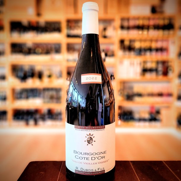 Domaine R. Dubois Bourgogne Rouge "Cte DOr" Issu de Vieilles Vignes Magnum 2022