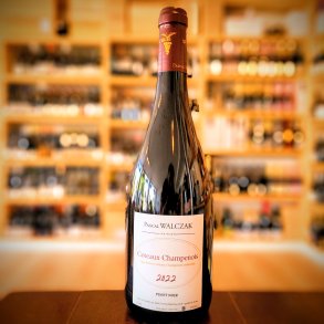 Pascal Walczak Coteaux Champenois Rouge 2022