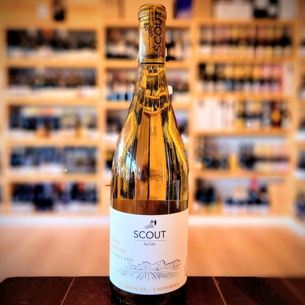 Scout by Leo Suger Mill Chardonnay Wilson Vineyard Clarksburg 2023