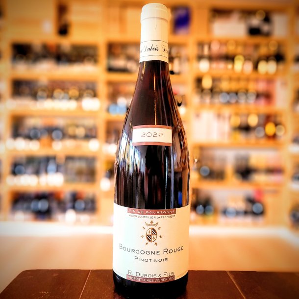 Domaine R. Dubois Bourgogne Rouge 2022