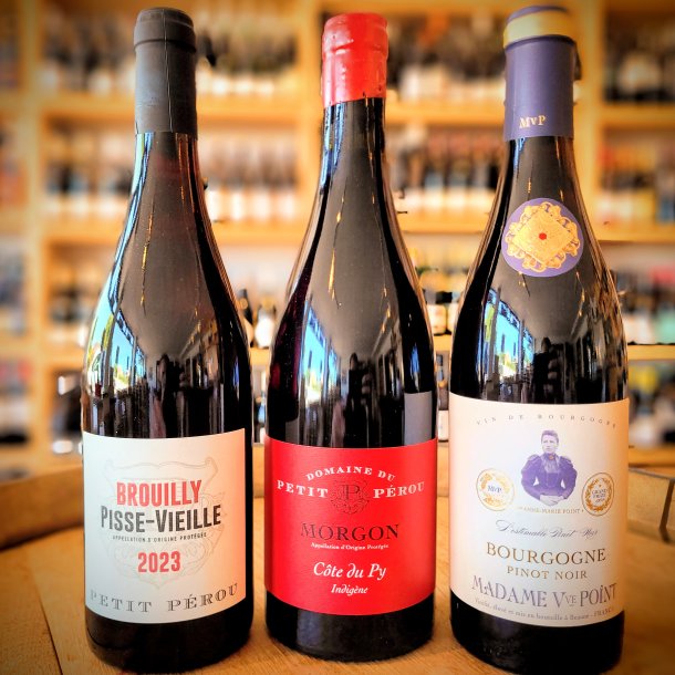 Vinvalget Gamay VS Pinot Noir