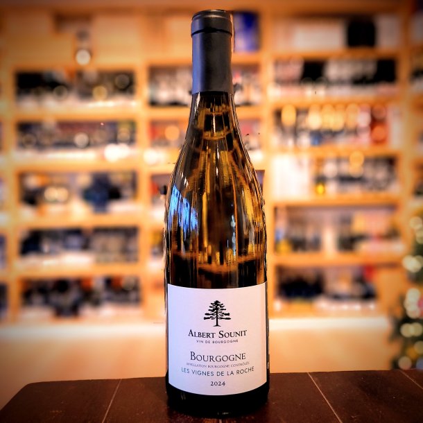 Albert Sounit Bourgogne Blanc Les Vignes de la Roche 2024