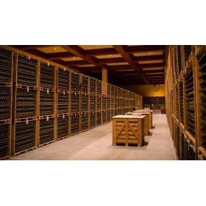 Bodegas Valdemar smagning 19/3-2026