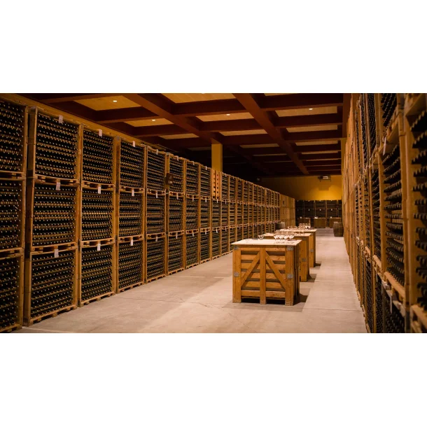 Bodegas Valdemar smagning 19/3-2026